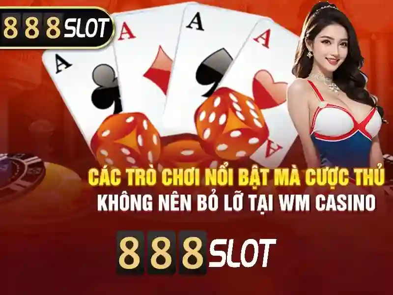 Hỗ trợ và trải nghiệm người dùng