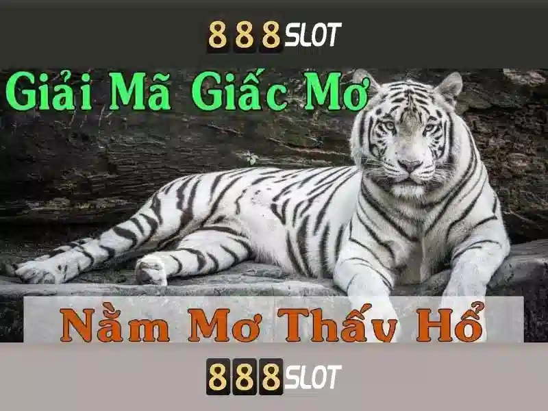 Danh mục trò chơi và trải nghiệm người dùng