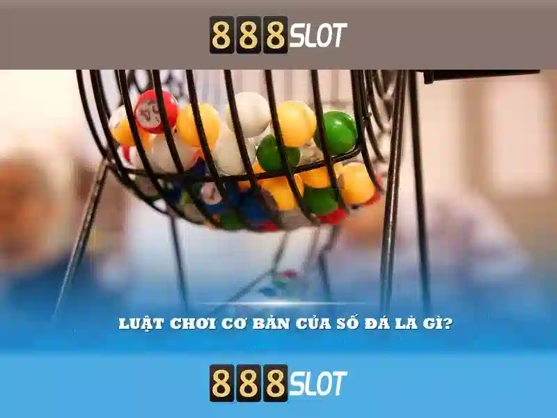 Kết luận