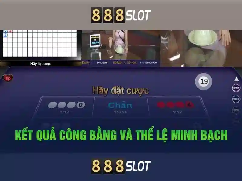 Trải nghiệm người dùng và kết luận\n<p><span style=