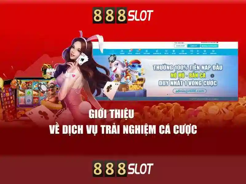 Ưu đãi và thanh toán an toàn