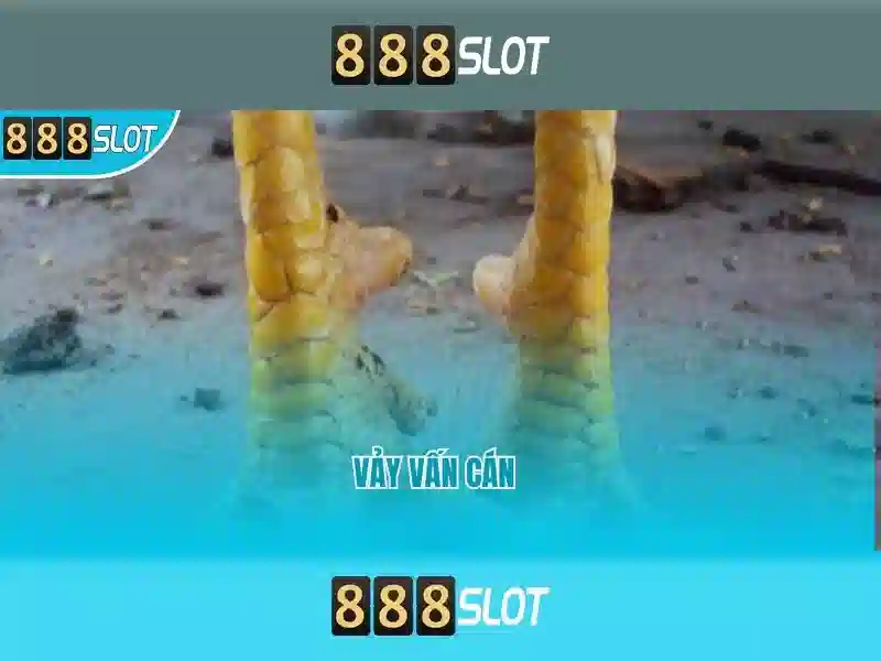 Giới thiệu về 888slot