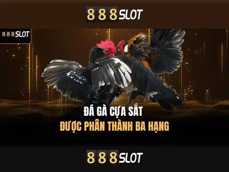 Mẹo chơi bắn cá 3 cây dễ ăn tiền nhà cái