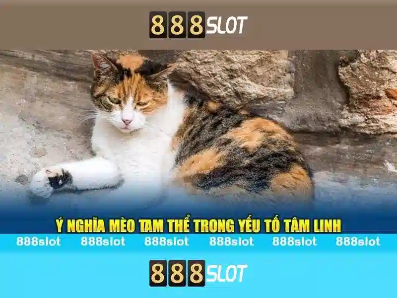 Giới thiệu về 888slot