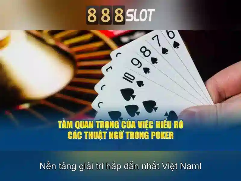 Trò chơi và người chơi