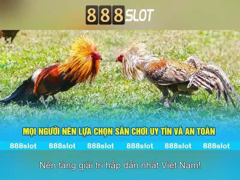 Dịch vụ khách hàng và hỗ trợ