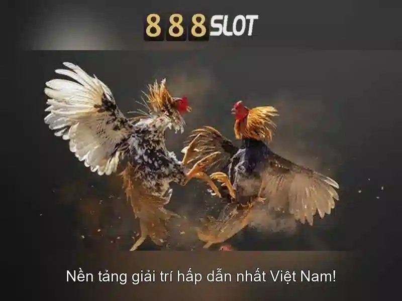 Trải nghiệm người dùng