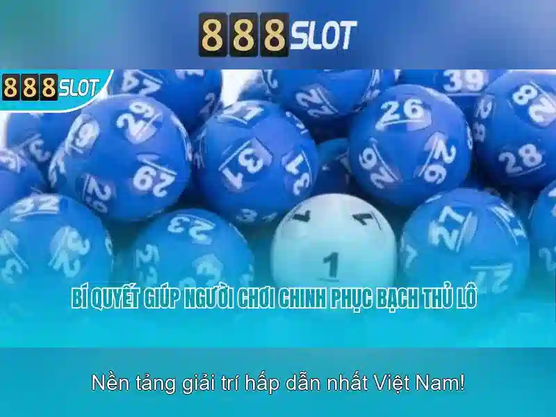 Ket luan va loi moi thu canh trai nghiem