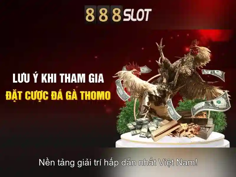 Giao diện và trải nghiệm người dùng