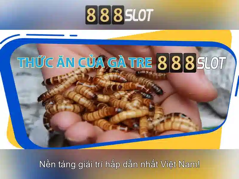 Giới thiệu về 888slot