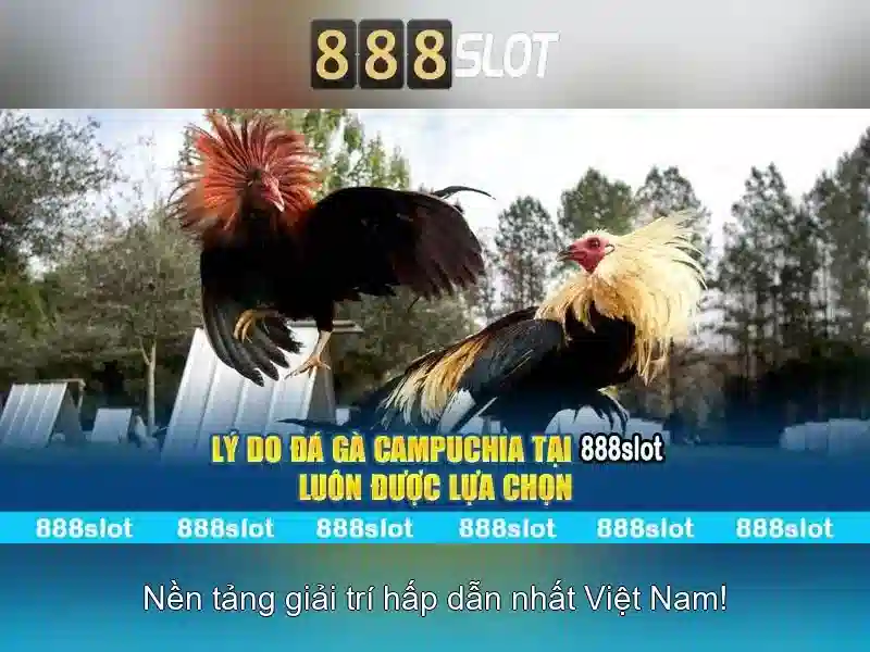 An toàn và thanh toán