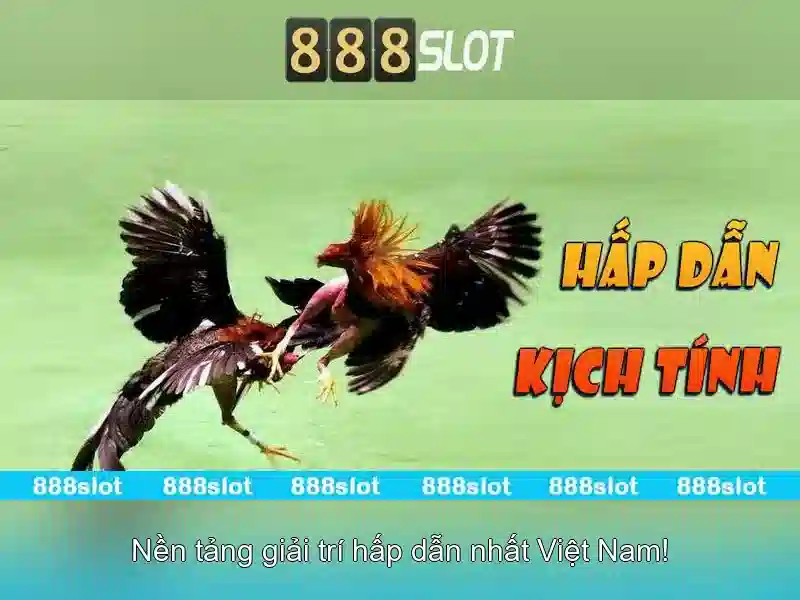 Giới thiệu về 888slot