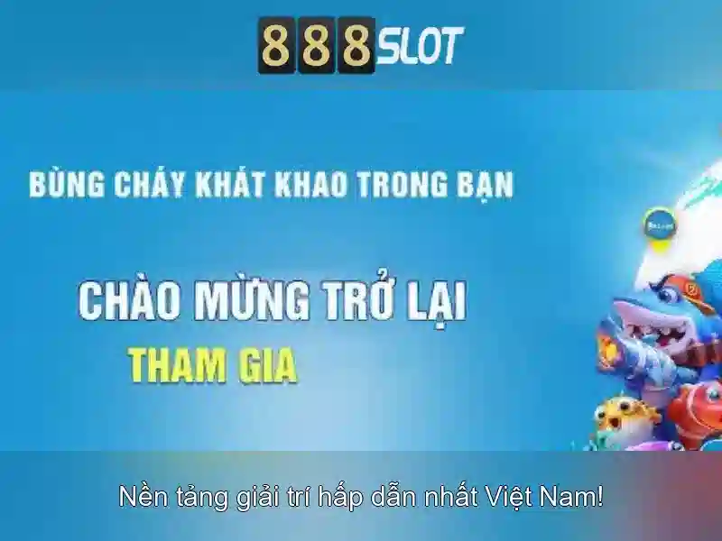 Trải nghiệm người dùng và cộng đồng
