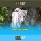 888slot: Đánh giá và hướng dẫn chơi an toàn