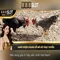 888slot – Đánh giá tổng quan và trải nghiệm người chơi