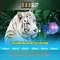 888slot: Nền tảng slot trực tuyến và đánh giá chi tiết