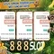 888slots .com – Kết nối casino và slot trực tuyến