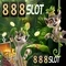 roma slot 888 – Trải nghiệm đỉnh cao cùng spin slot 888