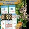 meta slot 888: tổng quan, trải nghiệm và đột phá