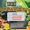 download 888slot - Trải nghiệm chi tiết và đánh giá chuyên sâu